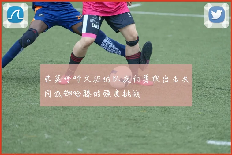 弗莱呼吁文班的队友们勇敢出击共同抵御哈滕的强度挑战
